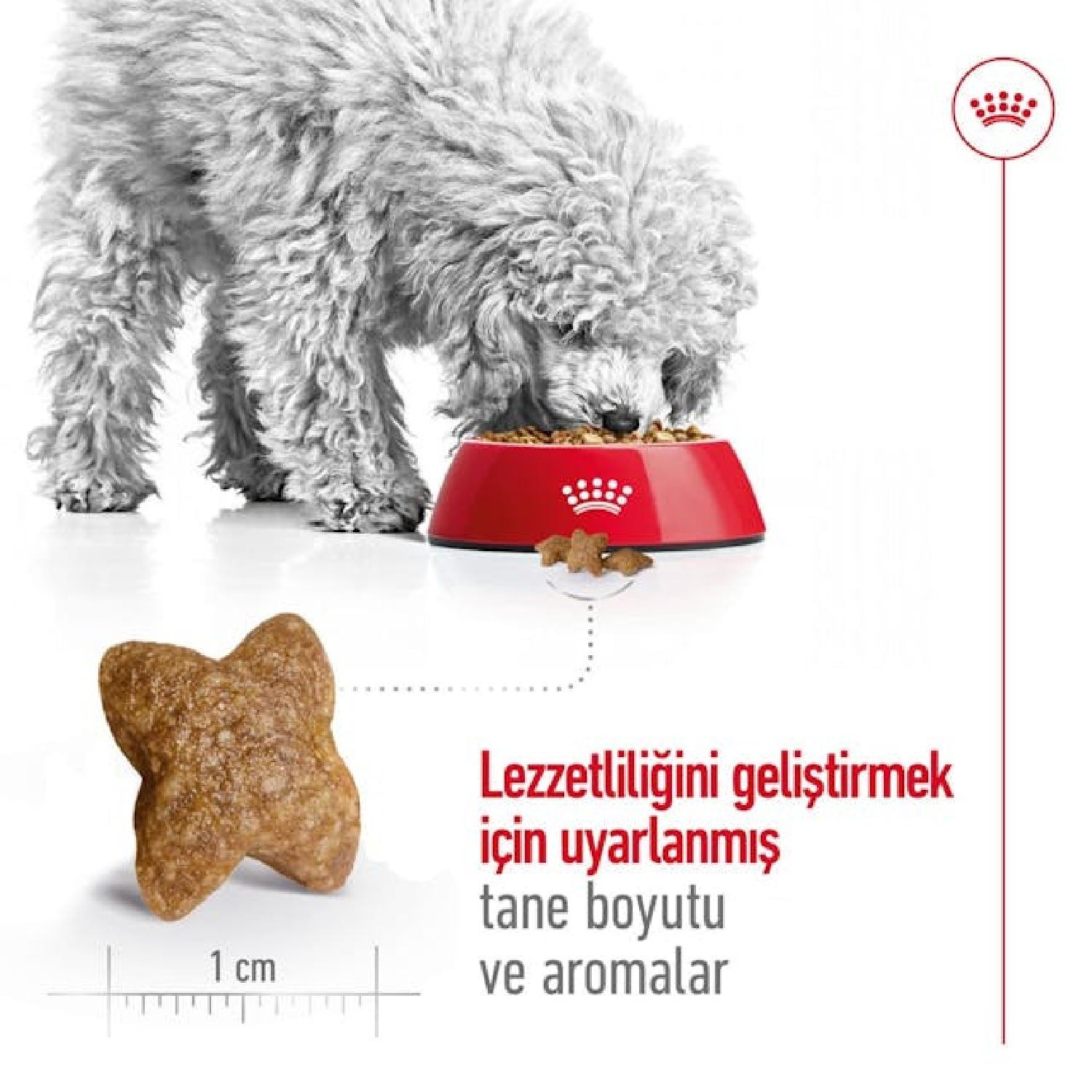 Royal Canin Küçük Irklar için Yetişkin Kuru Köpek Maması 4kg