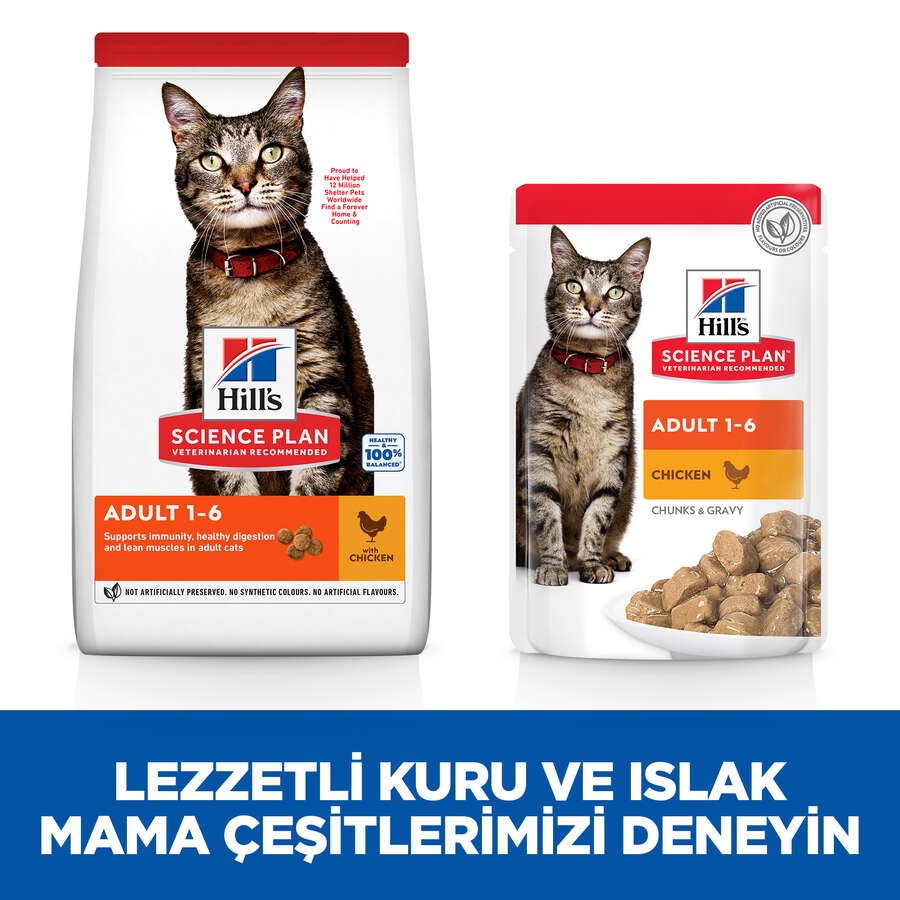 Hill's SP Tavuklu Yetişkin Kedi Maması 3KG