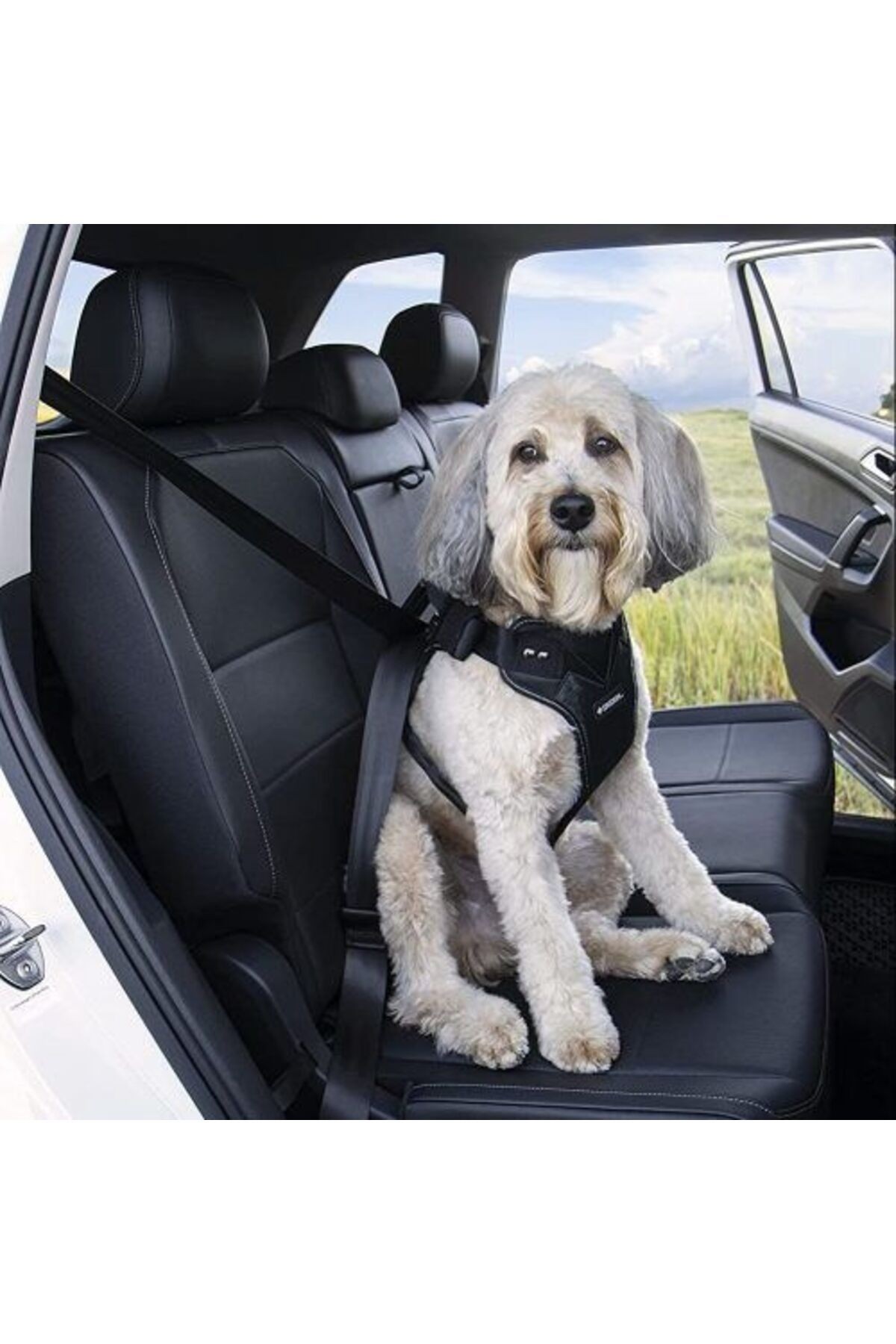 Drive Car Harness