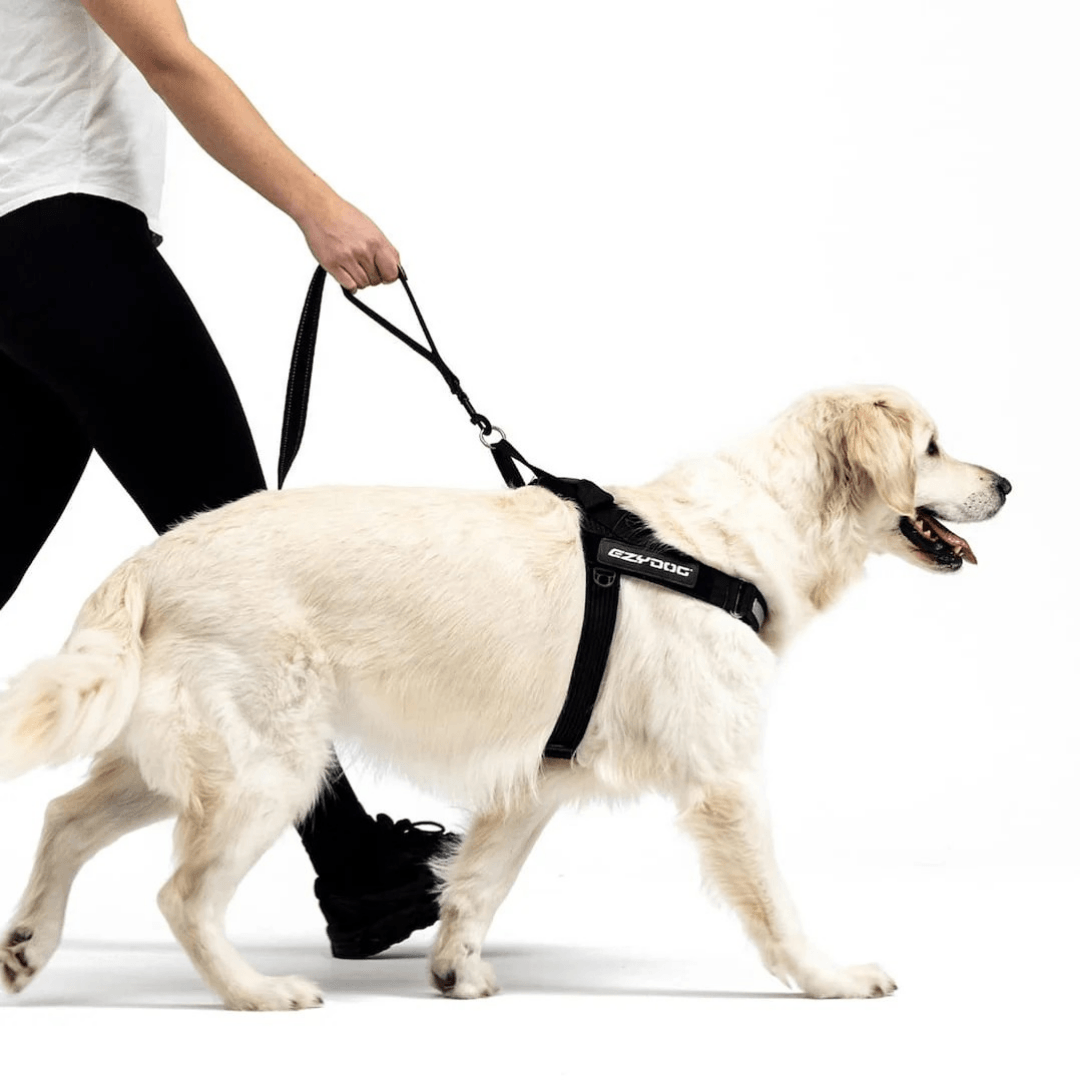 EzyDog Soft Trainer Yumusak Köpek Gezdirme Kayisi180Cm Kırmızı