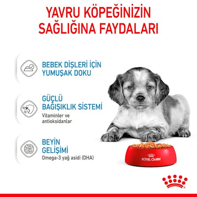 Royal Canin Orta Irklar için Yavru Yaş Köpek Maması 140g