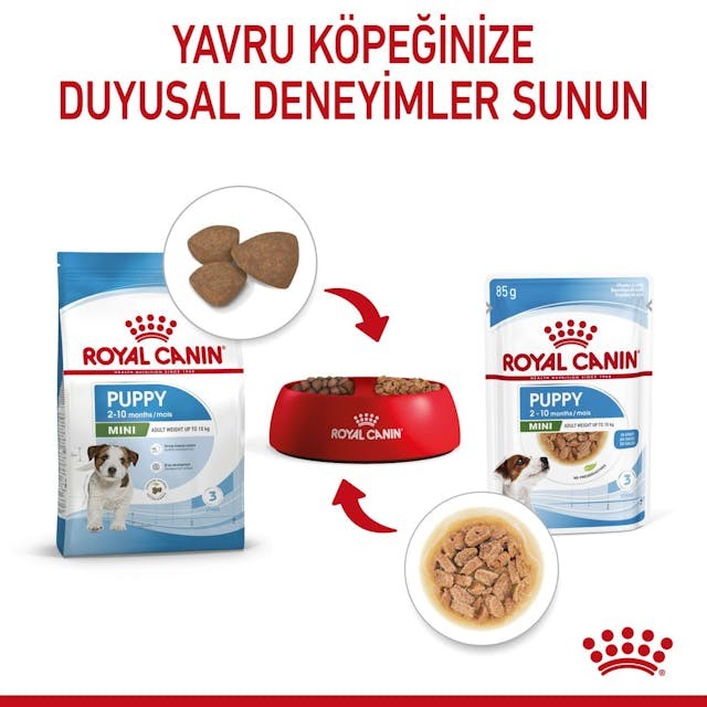 Royal Canin Küçük Irklar için Yavru Yaş Köpek Maması 85g
