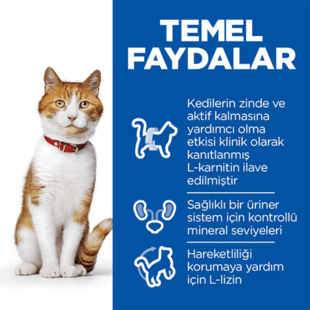 Hill's SP Somon Kısırlaştırılmış Yetişkin Kedi Maması 10 KG