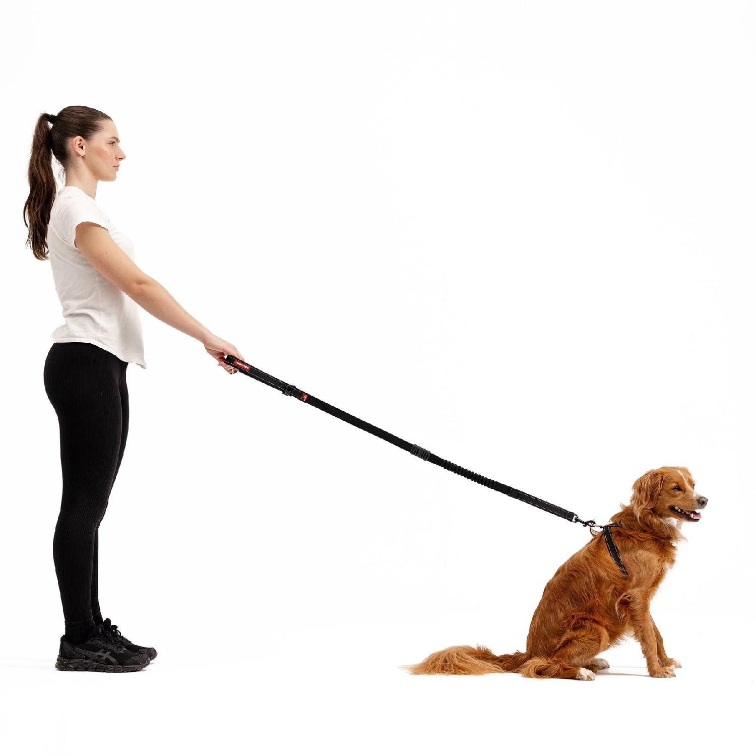 Ezydog Zero Shock 40 Şok Absorbe Edici Köpek Kayışı - Kırmızı