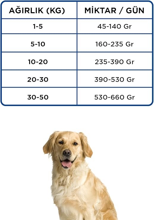 Econature Yetişkin Kuru Köpek Maması (Adult Dog) Sarı Ambalaj Kuzu Etli 15KG