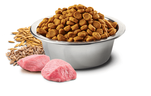 N&D Düşük Tahıllı Kuzu Etli Yaban Mersinli Yetişkin Kedi Maması 10 Kg