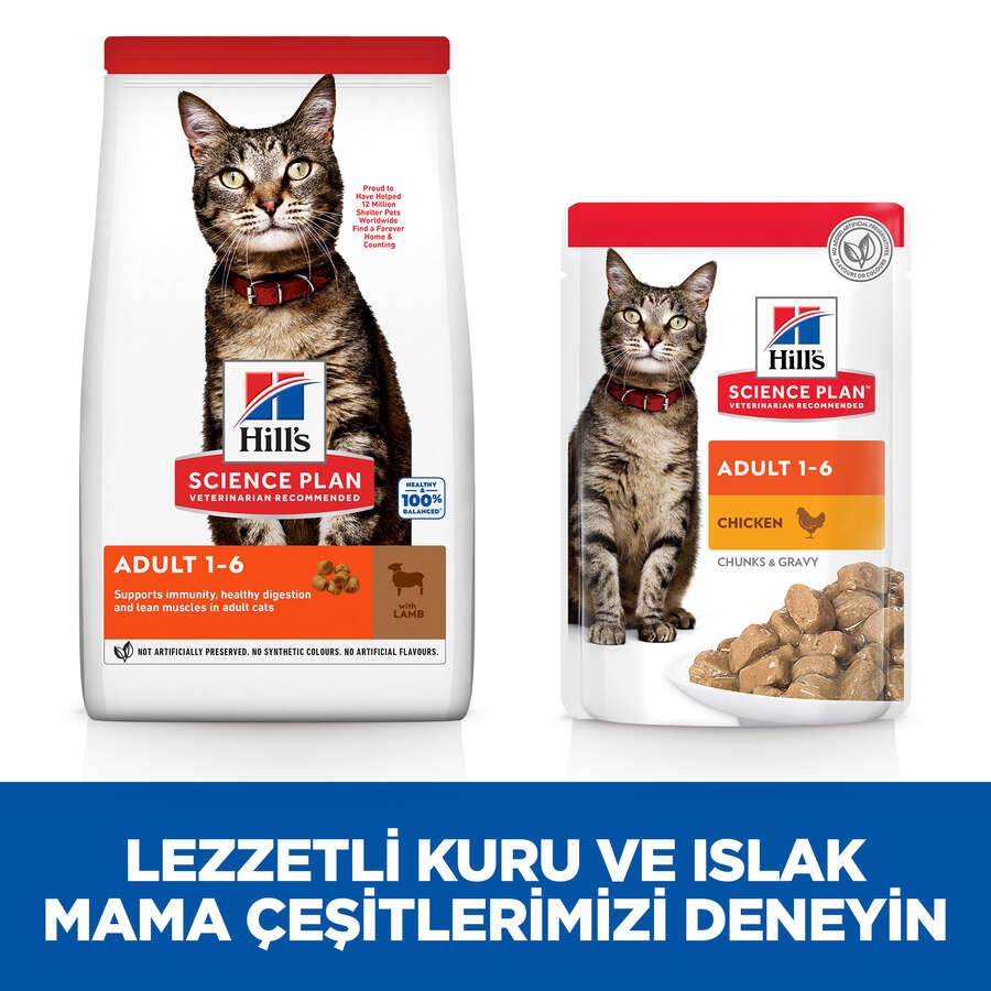 Hill's SP Kuzulu Yetişkin Kedi Maması 1.5KG
