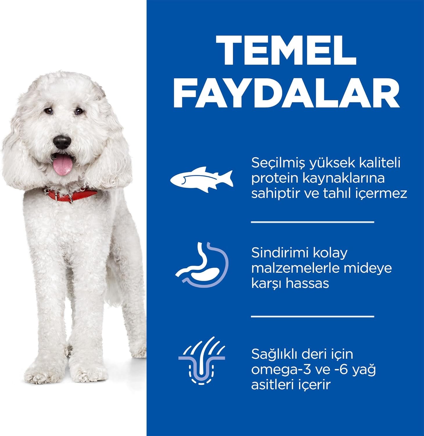 Hill's SP HipoalerjenikTahılsız Somonlu Orta Irk Yetişkin Köpek Maması 12KG