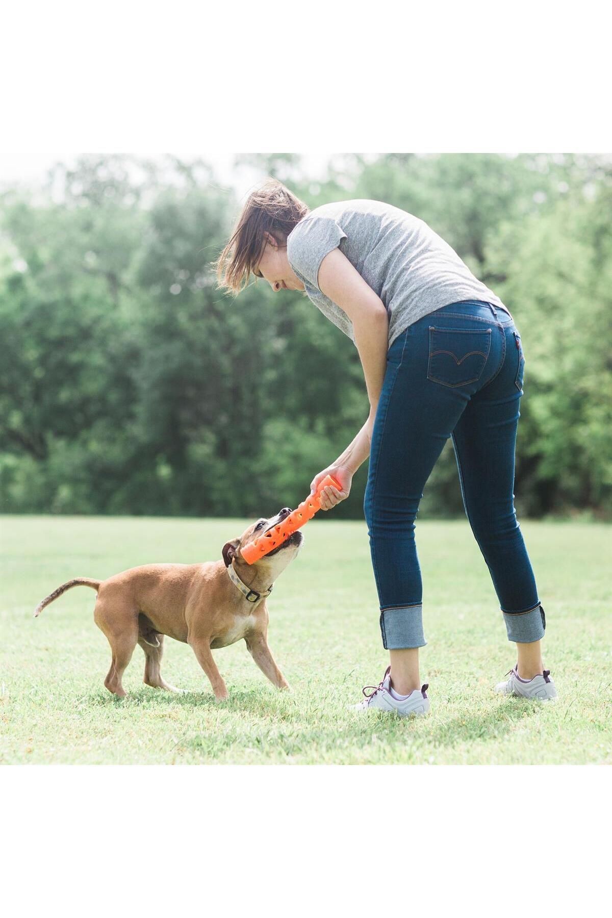 ! Air Fetch Stick Köpek Oyuncağı (KÜÇÜK BOY)