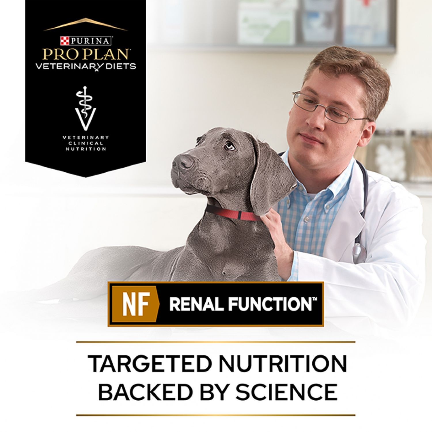 Pro Plan Veterinary Diets Dog NF Renal Function Mousse