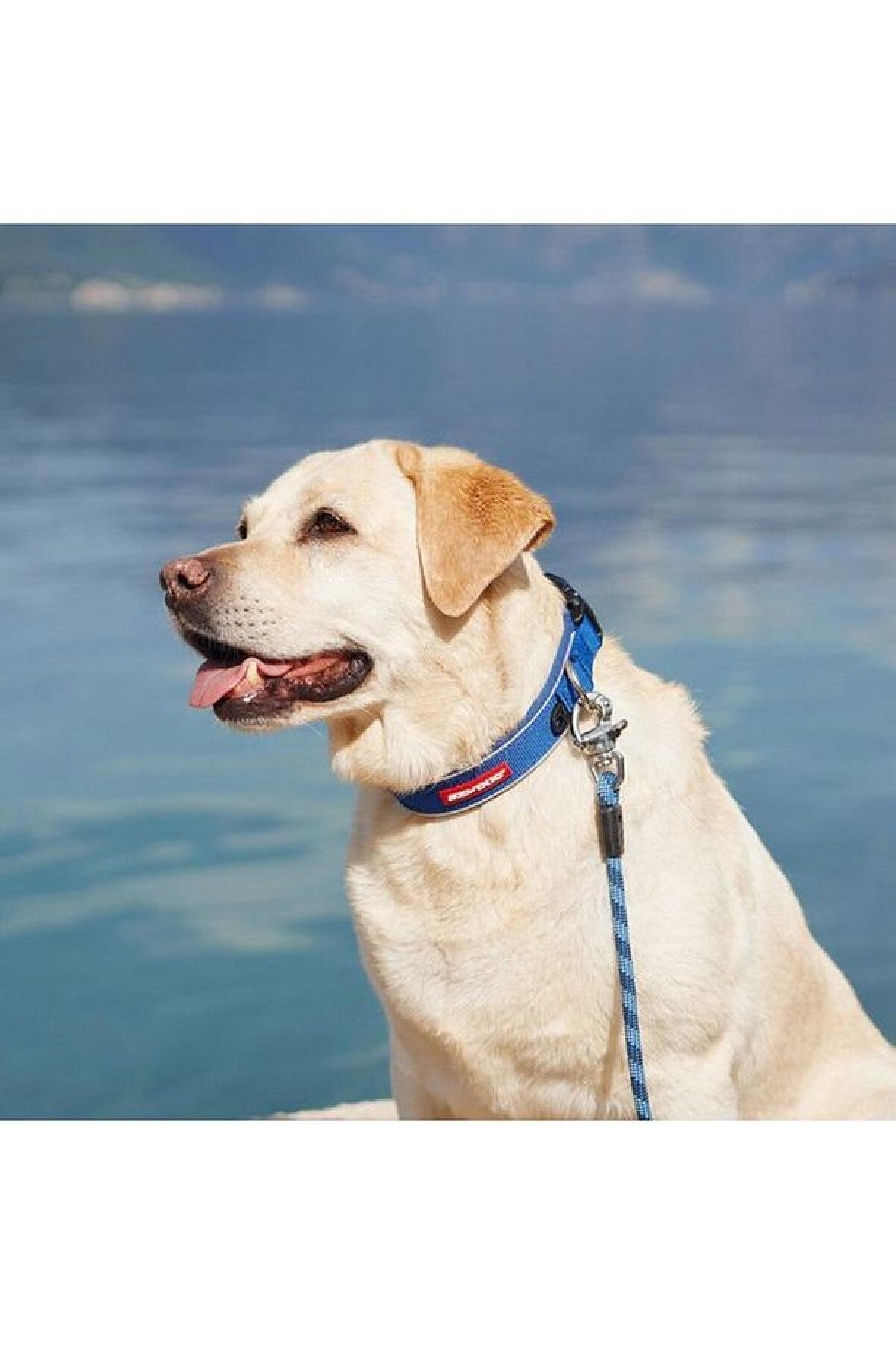 EzyDog Neo Classic Köpek Boyun Tasması Large Mavi