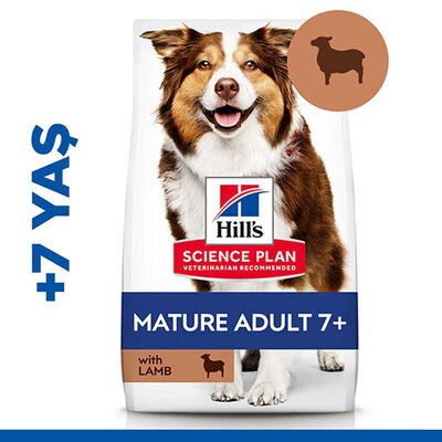 Hill's SP Kuzulu ve Pirinçli Orta Irk +7 Yaşlı Köpek Maması 2.5KG