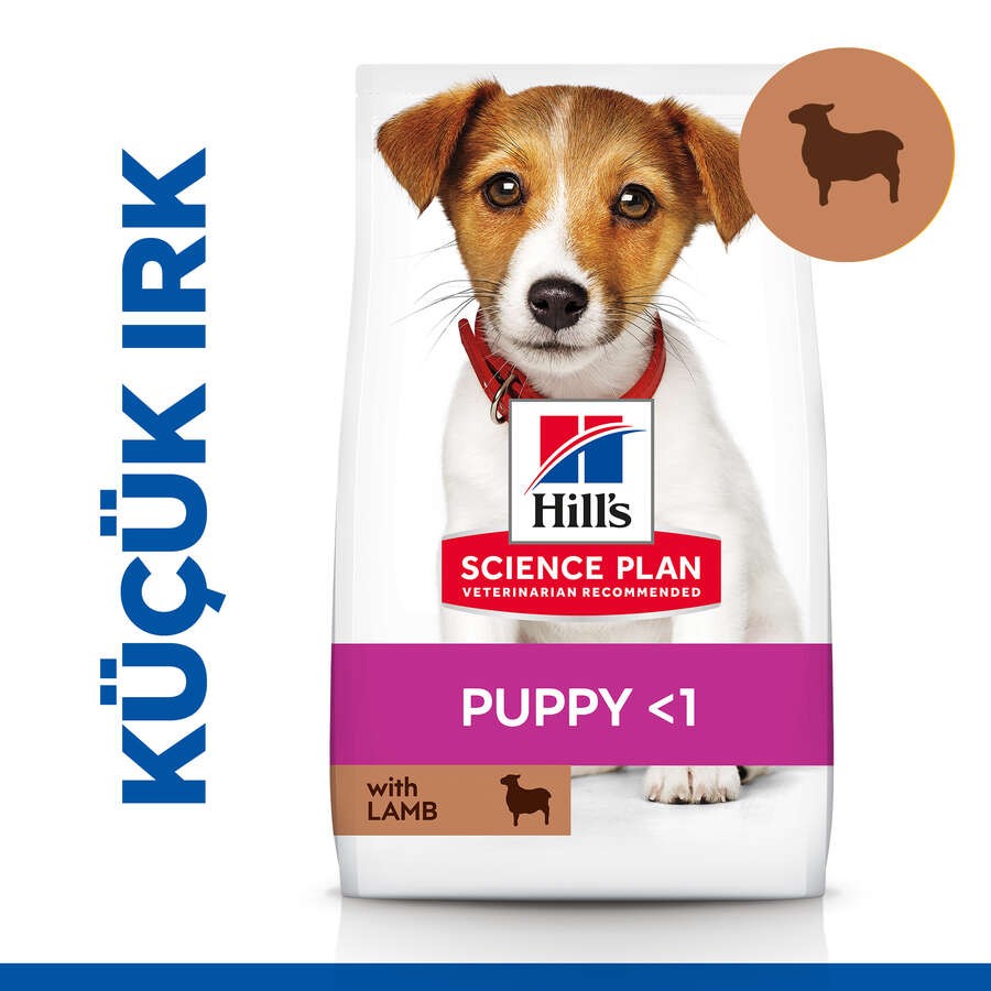 Hill's SP Kuzulu & Pirinçli Küçük ve Mini Irk Yavru Köpek Maması 1.5KG