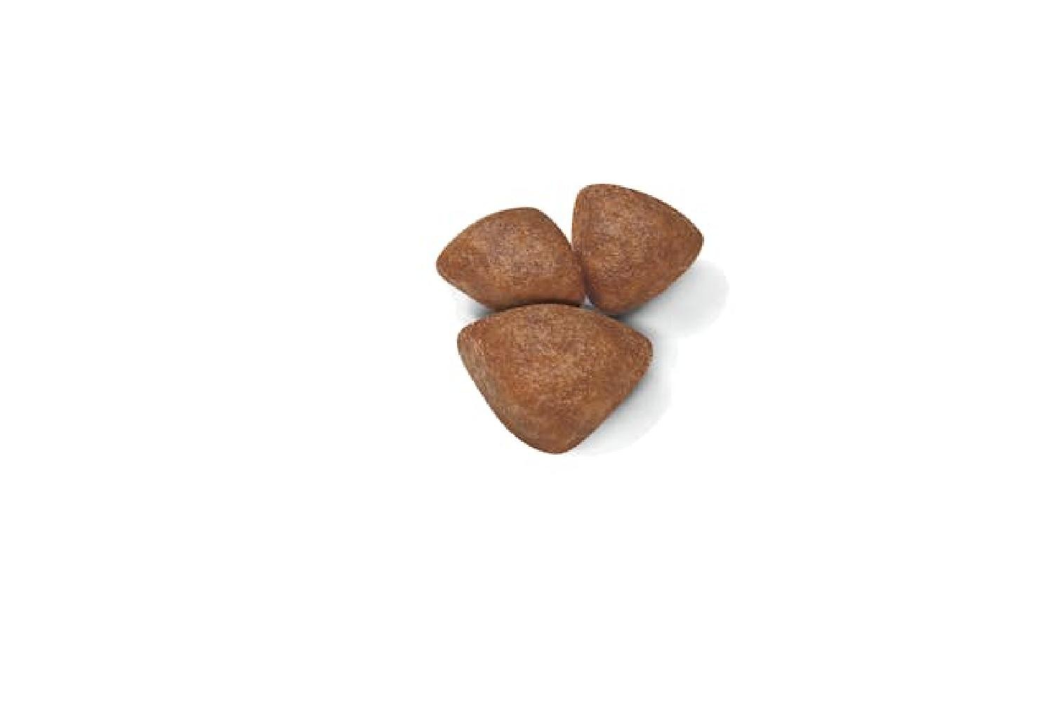 Royal Canin Starter Mother&Babydog Gebe/Laktasyondaki Anne ve Yavru Köpekler için Kuru Köpek Maması 4kg