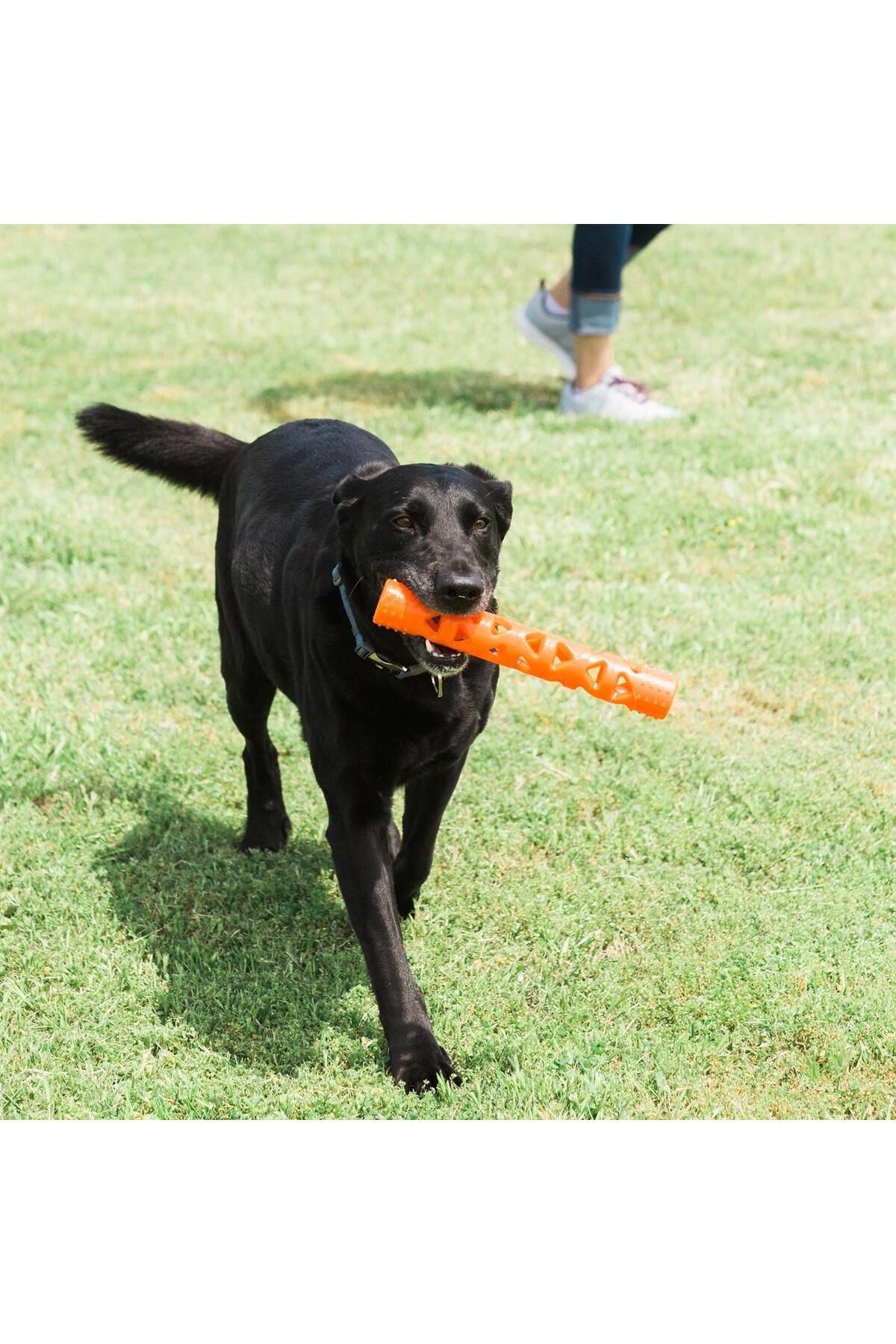 ! Air Fetch Stick Köpek Oyuncağı (BÜYÜK BOY)