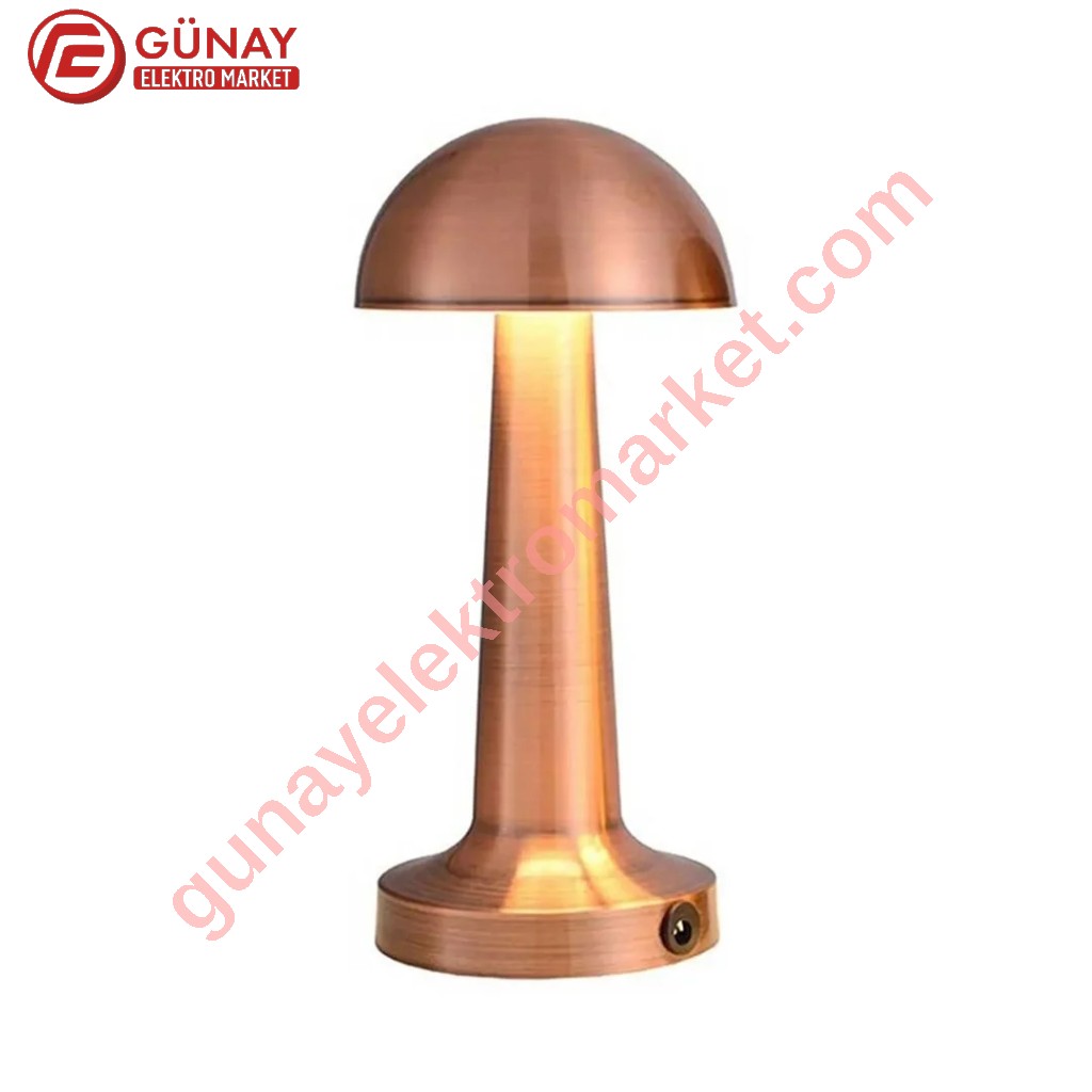 Ct-8430 3 Renk Yanma Modlu Bronz Renk Masa Lambası