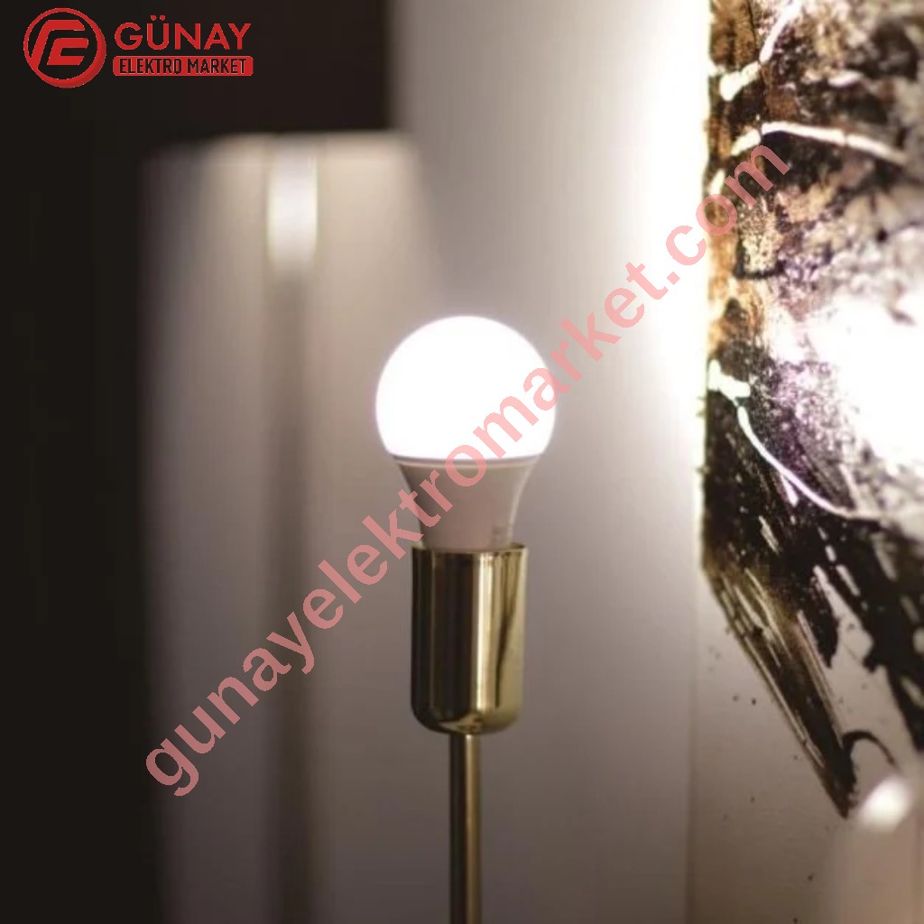 Ct-4266 12 Watt E-27 Duy Beyaz Işık Led Ampul