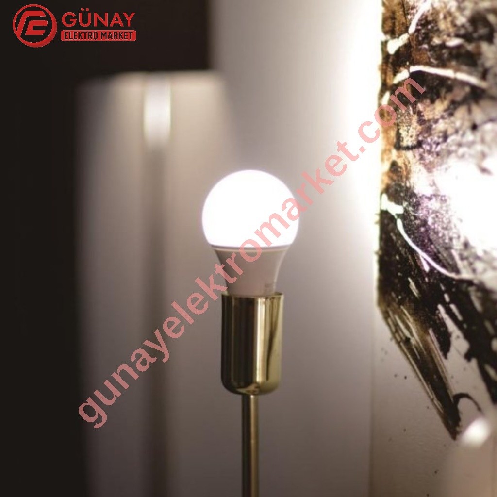 Ct-4274 15 Watt Led Ampul Beyaz Işık