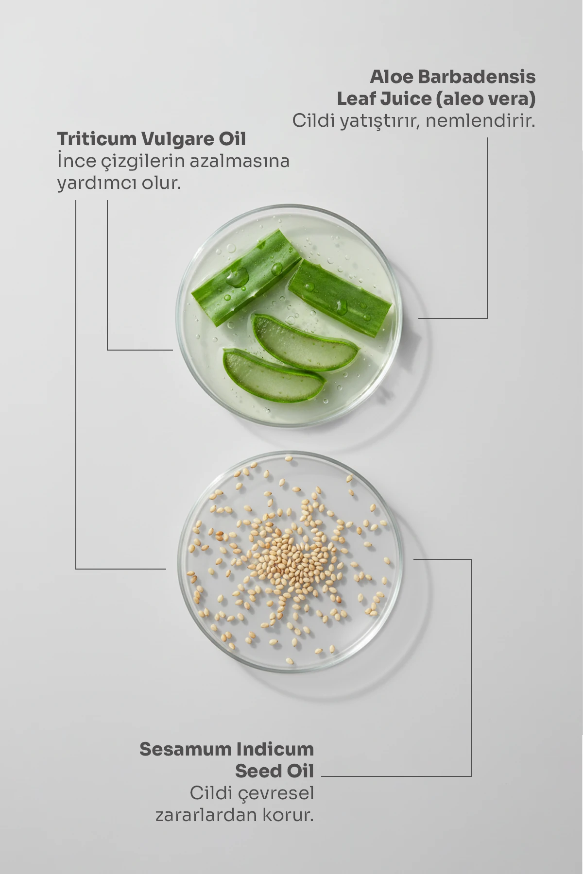 Aloe Vera Nemlendirici Krem – El, Yüz ve Vücut 20 ml 