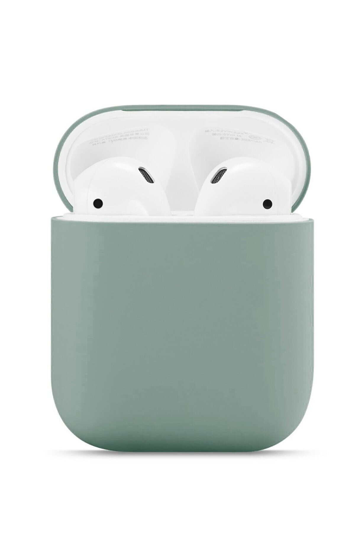 Airpods 1. ve 2. Nesil ile Uyumlu Premium Class Kılıf - Cactus