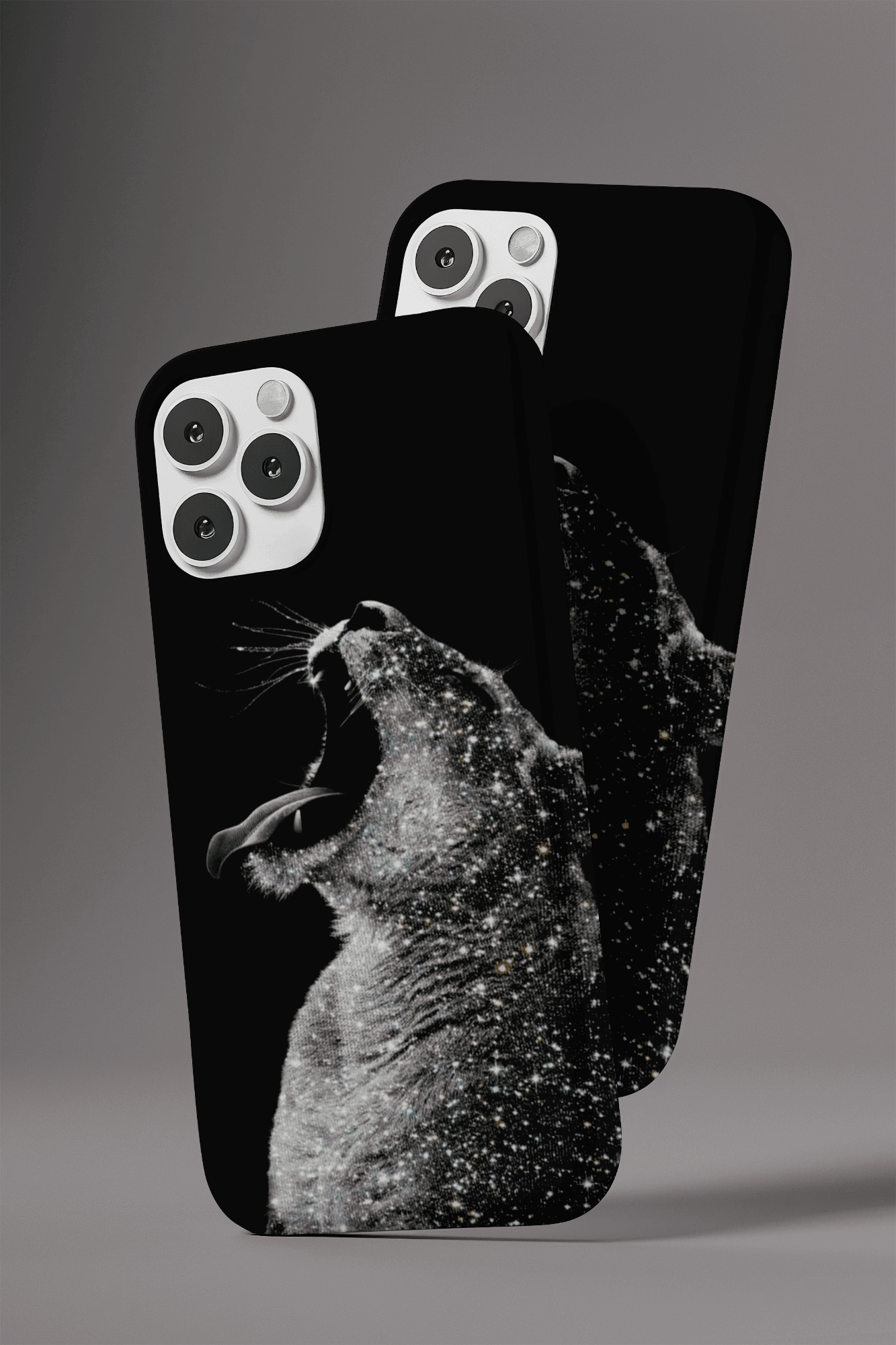 Cosmic Cat Case