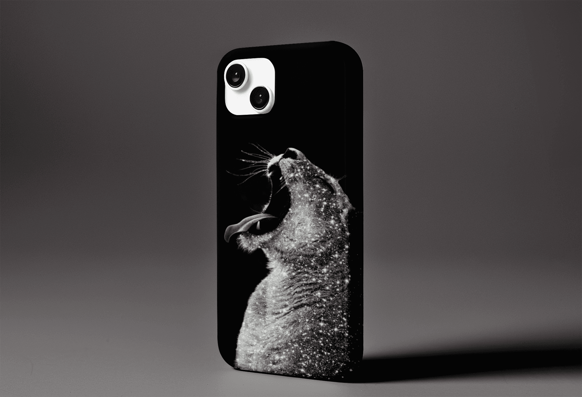 Cosmic Cat Case