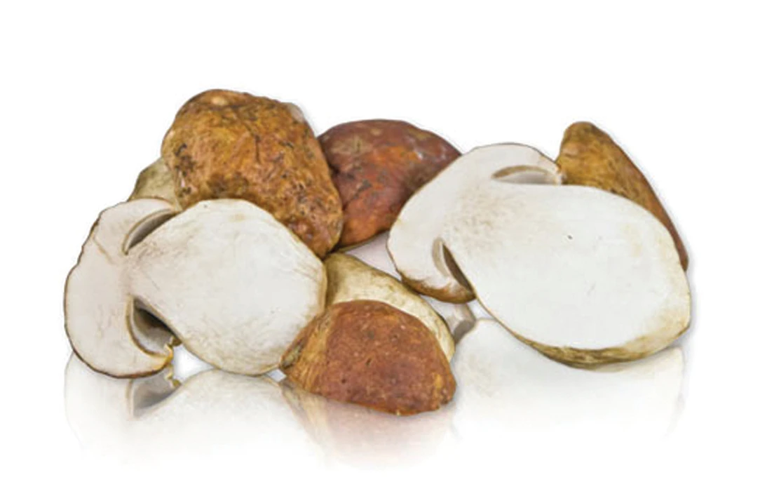 PORCİNİ MANTAR DONUK  PREMİUM 1 KG