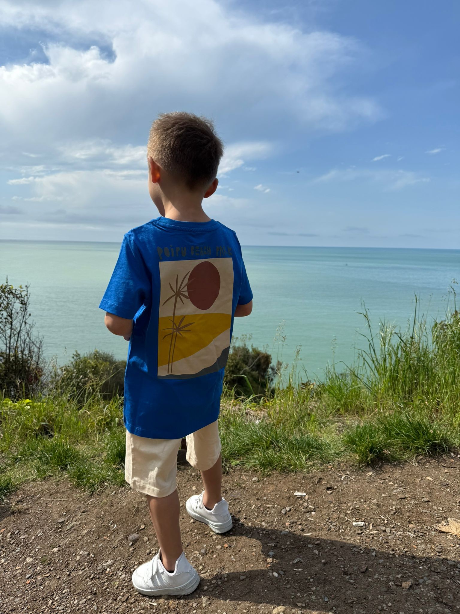 Erkek Çocuk Poipu Beach Park Ön ve Arka Baskılı Tişört Şort 2'li Takım