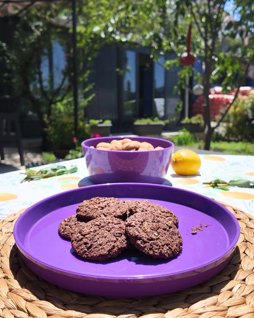 Harım %100 Medikal Silikon Tabak | 20 cm | Kaydırmaz, Hijyenik, Doğa Dostu