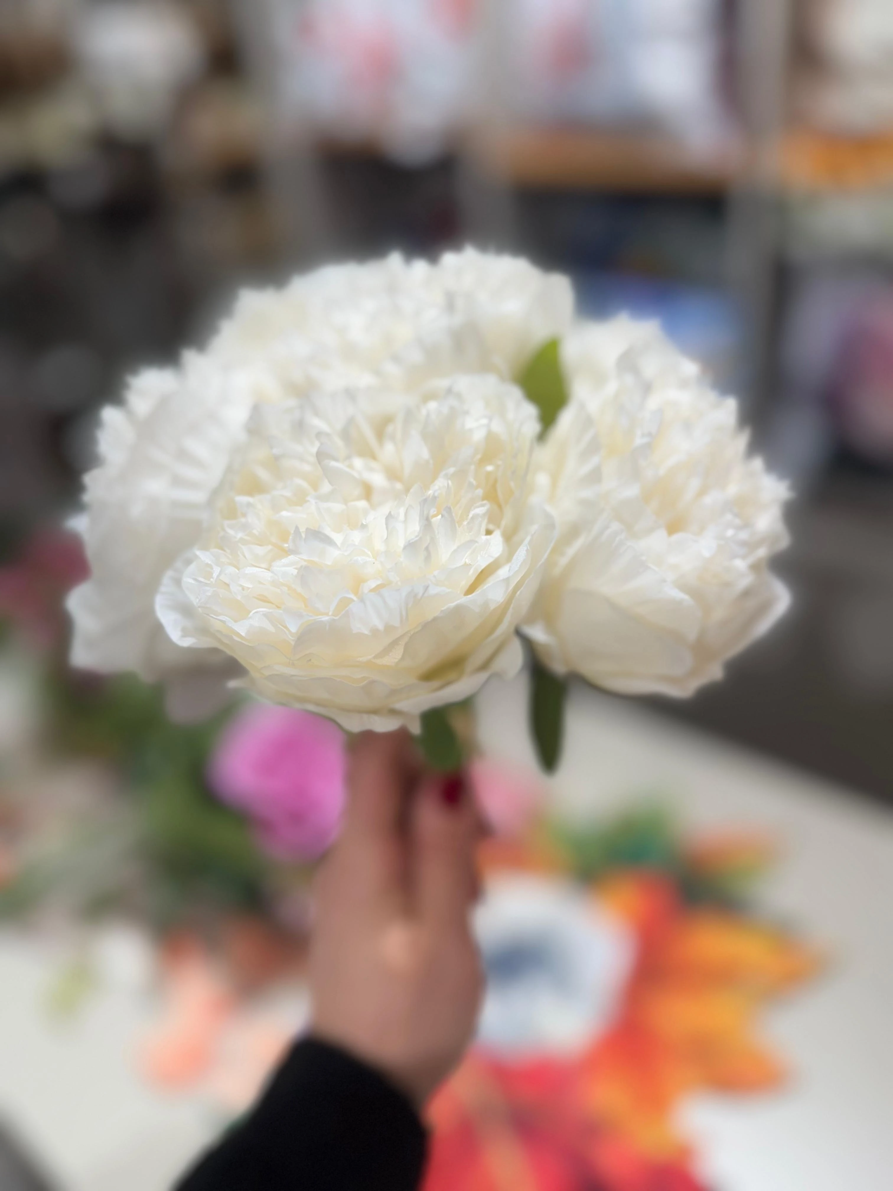 YAPAY BEYAZ ŞAKAYIK