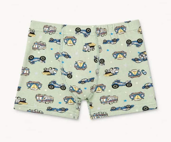 Erkek Çocuk Mint Araçlar Desenli Pamuklu Boxer – görsel 2