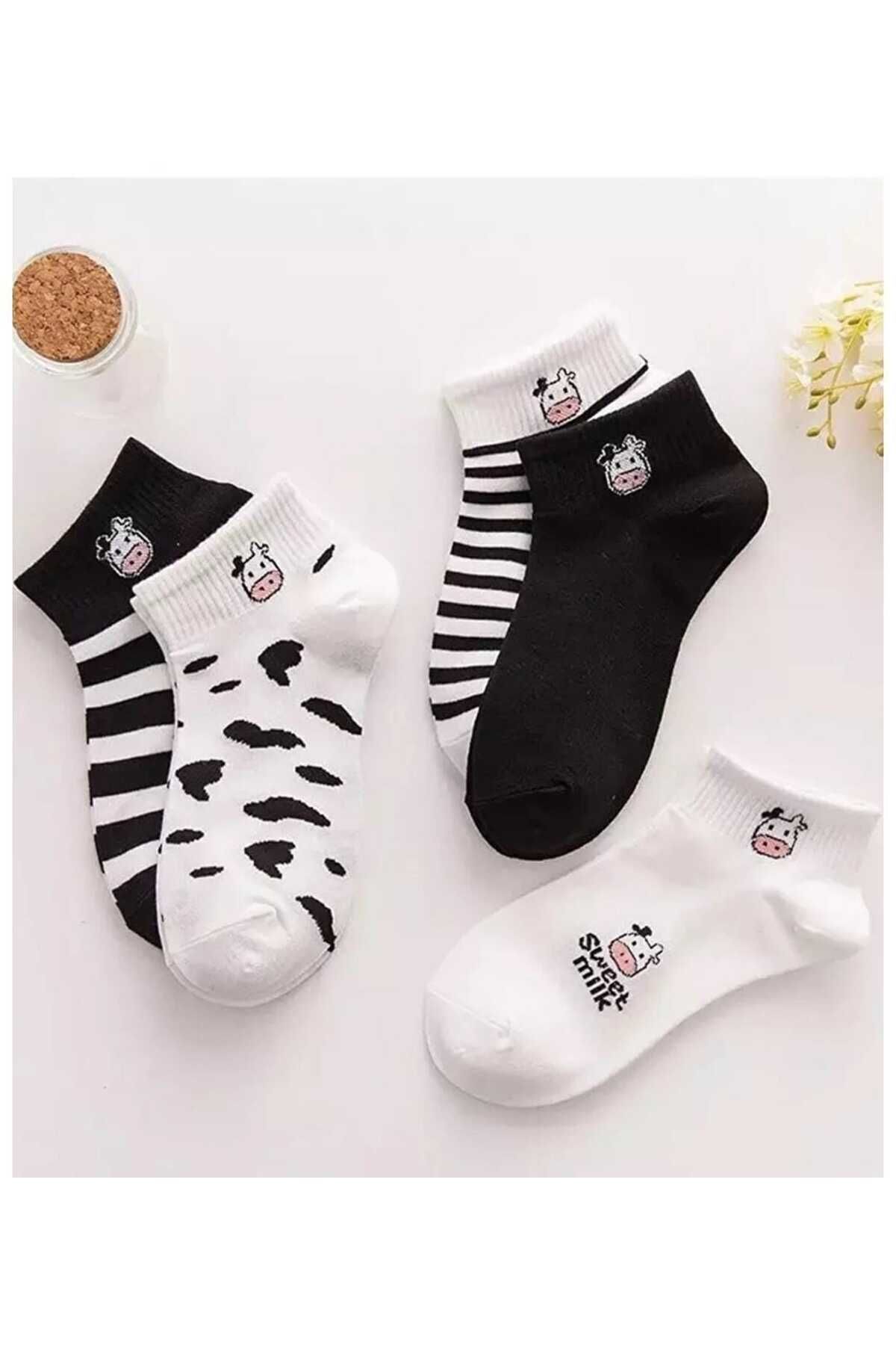 Socks Patik Çorap 4lü Paket