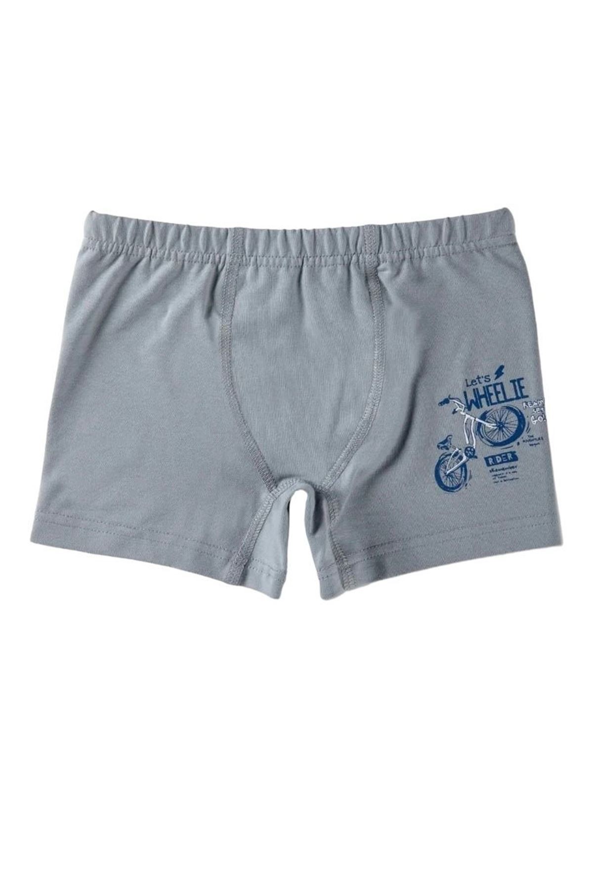 Baykar Karışık Desen 3lü Erkek Çocuk Boxer Seti 3382
