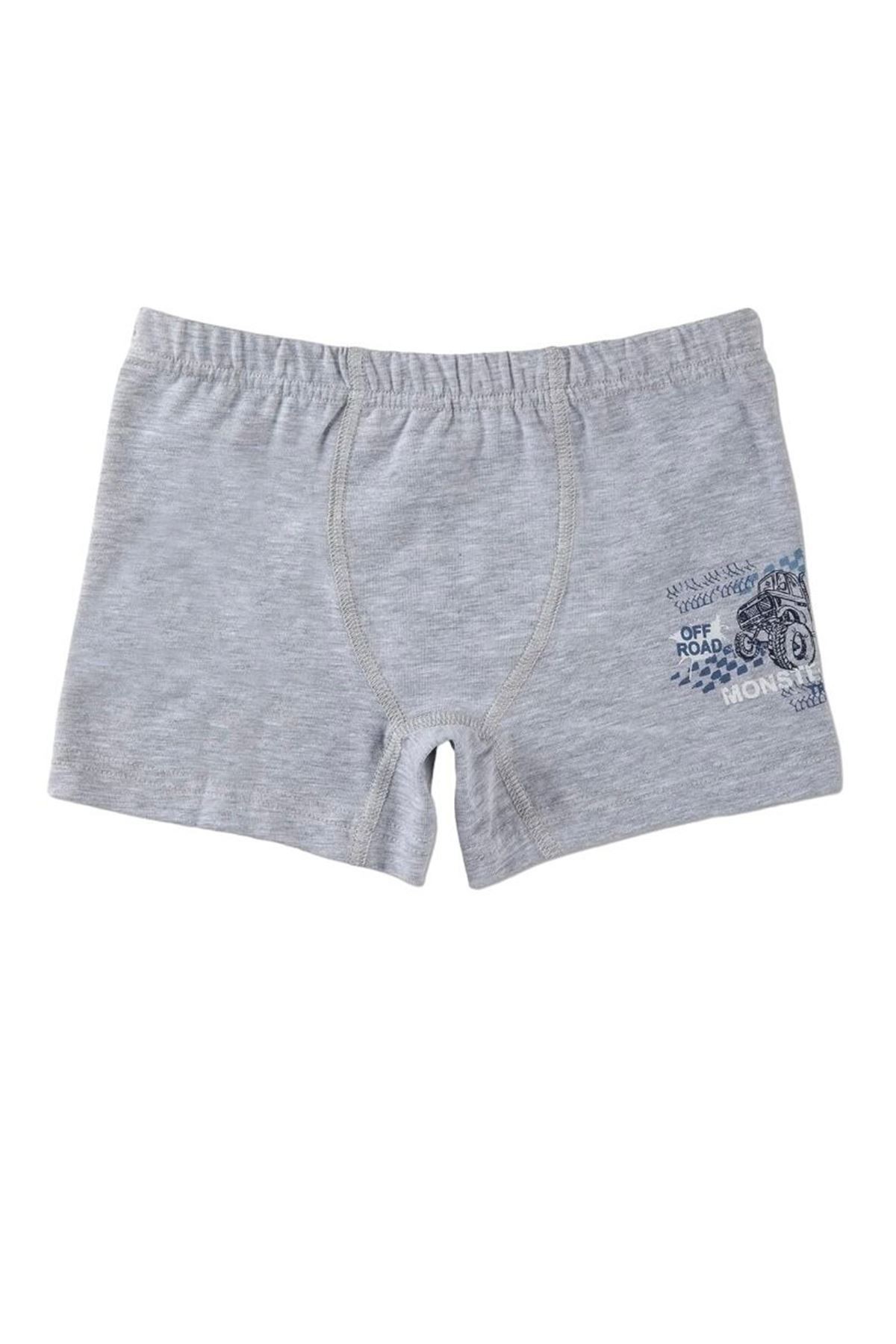 Baykar Karışık Desen 3lü Erkek Çocuk Boxer Seti 3378