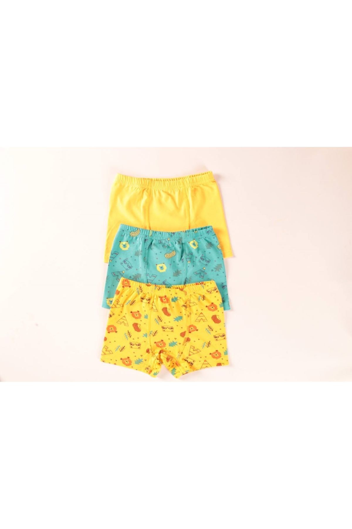 ELMAS Karışık Desen 3lü Erkek Çocuk Boxer Set B-67