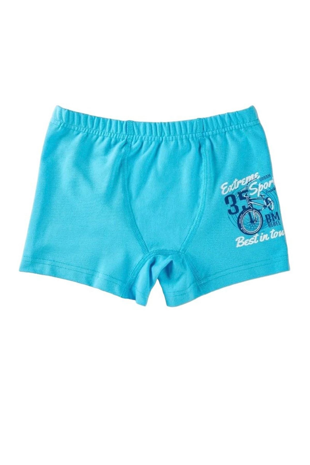 Baykar Karışık Desen 3lü Erkek Çocuk Boxer Seti 3382