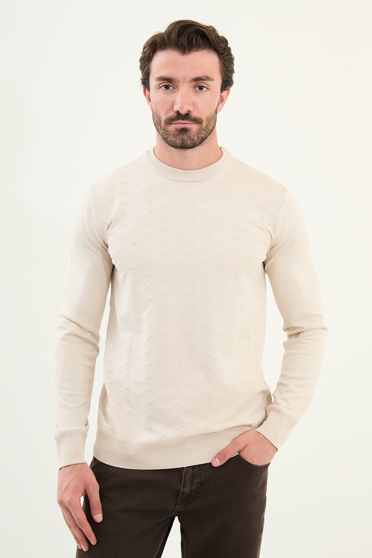 Desenli Slim Fit Bisiklet Yaka Erkek Triko Kazak - Taş