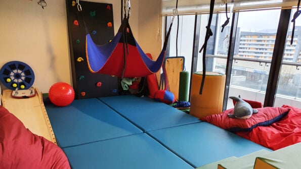 Duyulab Çevresel Zenginleştirme