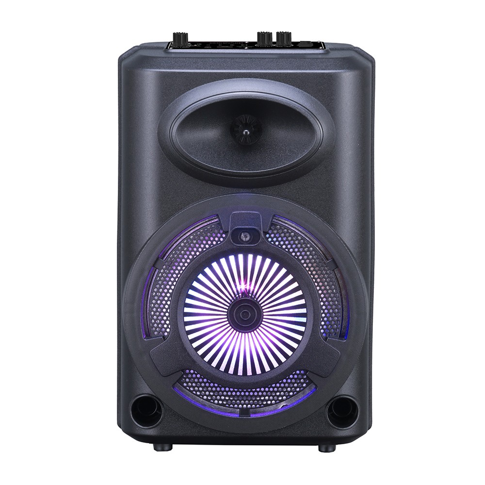 Zore GD-903 Dijital LED Göstergeli FM Radyolu Mikrofonlu RGB TWS 8 inç Stereo Bass Kablosuz Karaoke Hoparlör