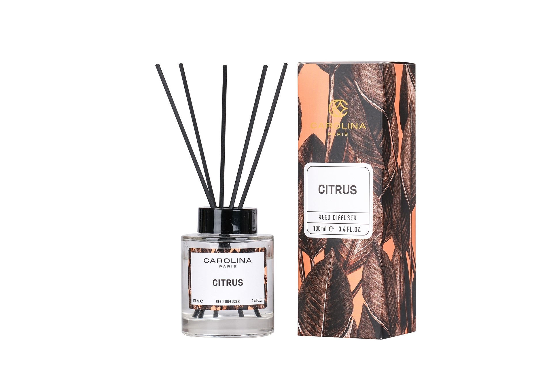 Citrus 100 ML Ortam Kokusu