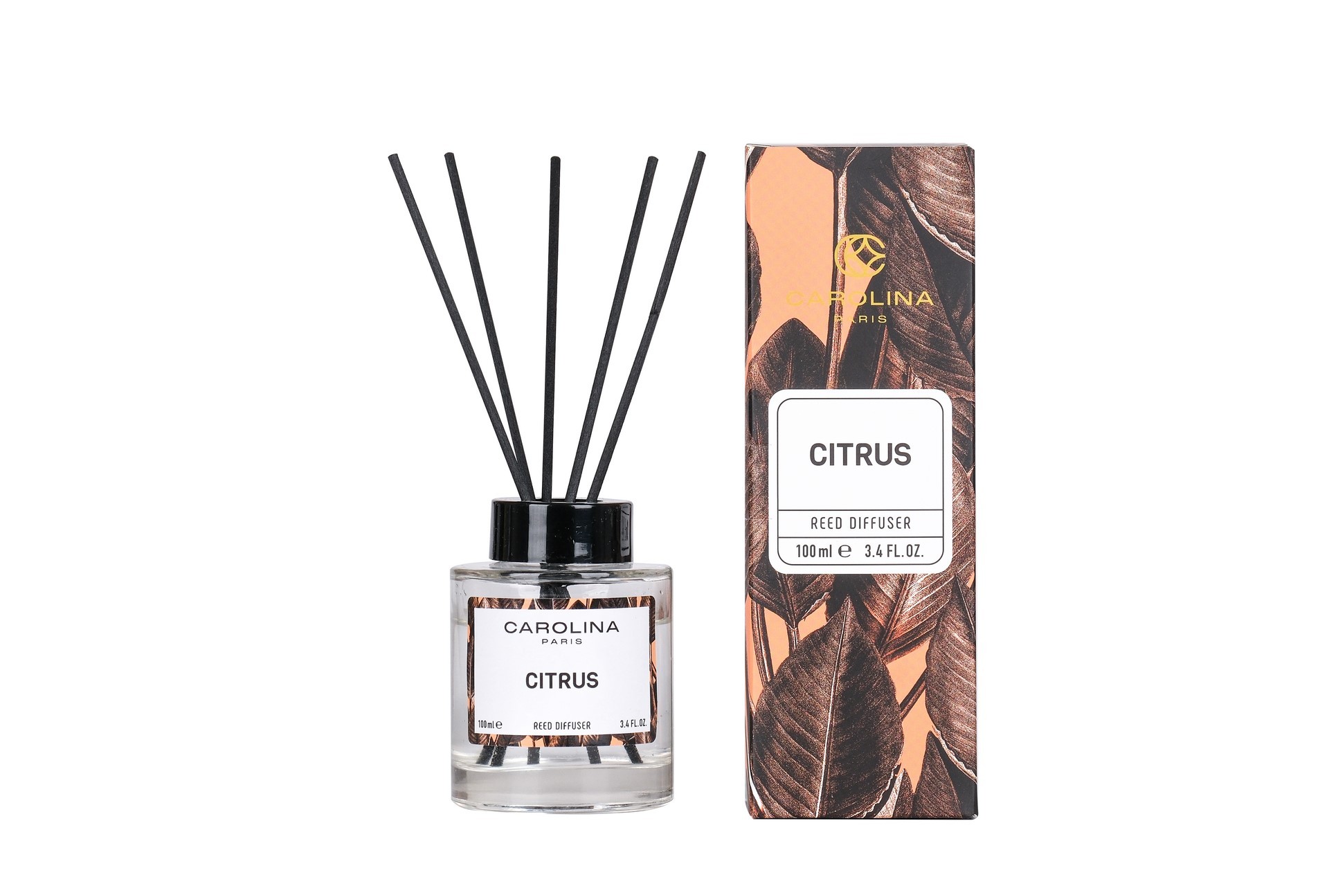 Citrus 100 ML Ortam Kokusu