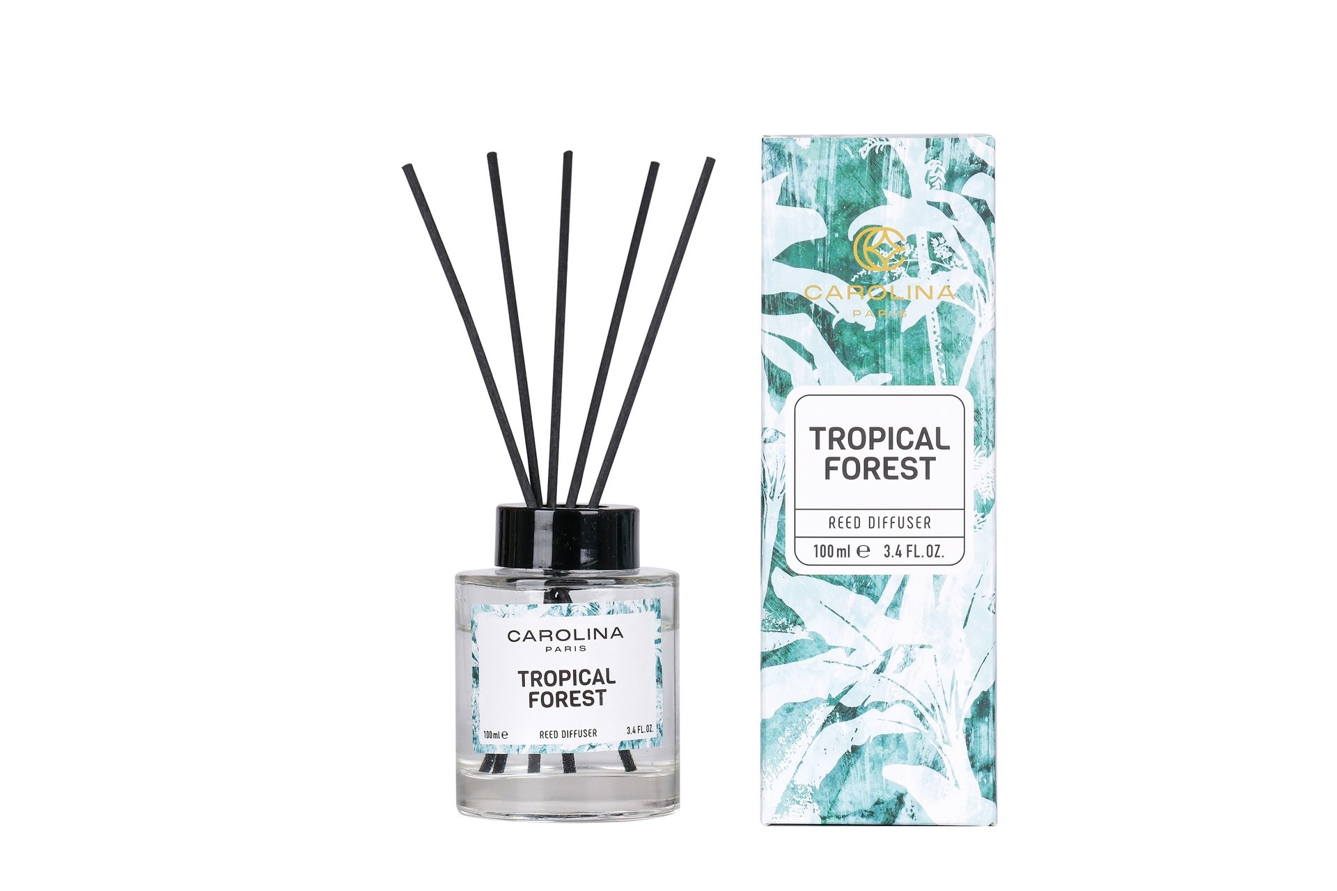 Tropical Forest