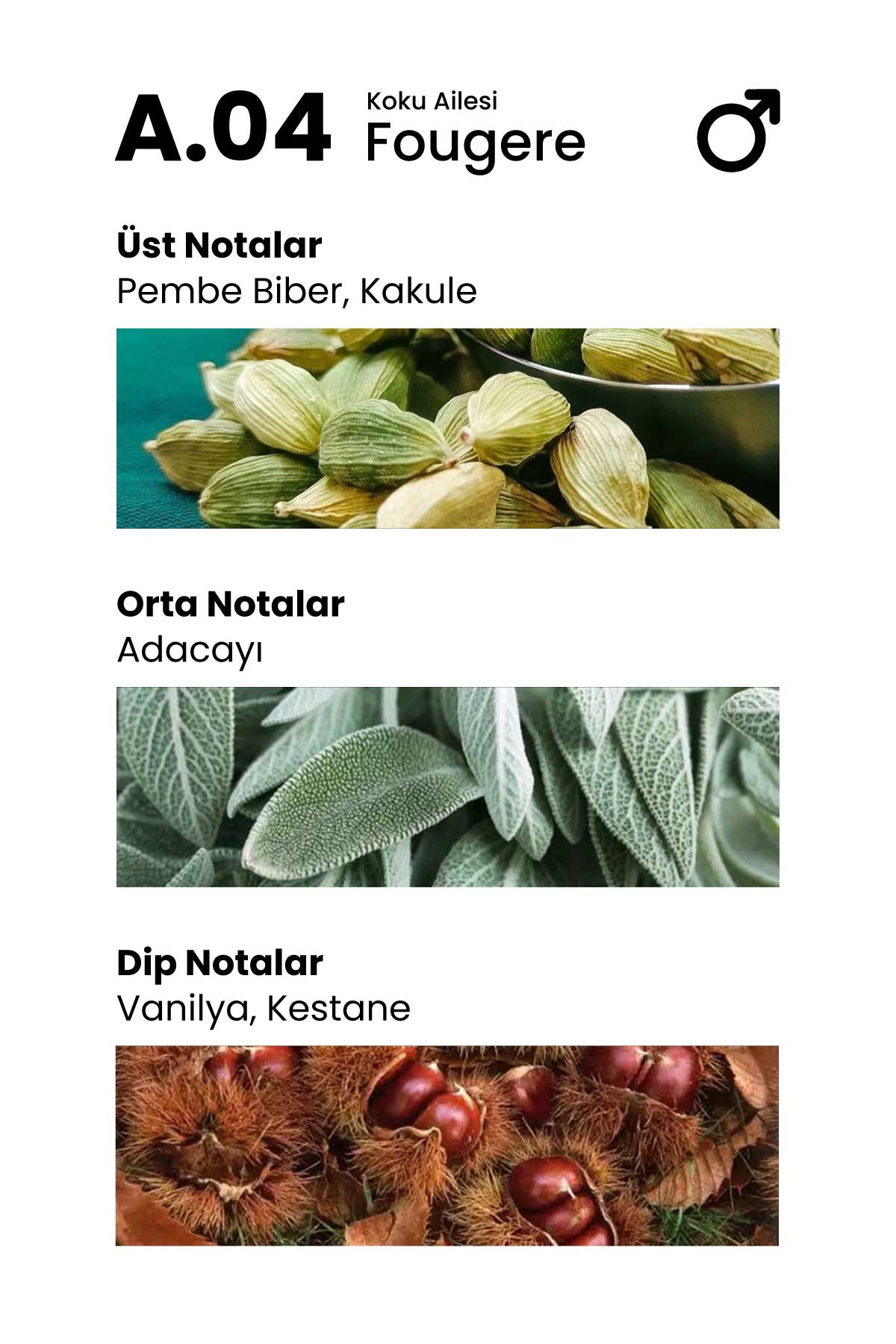 Carolina Paris A.04 Effective 50ml Erkek Parfüm