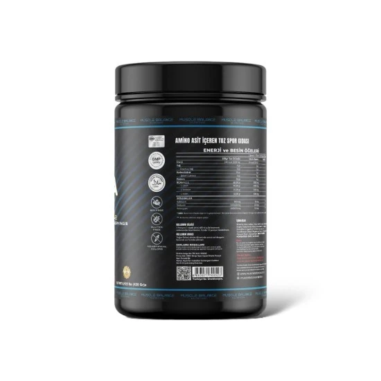 Bcaa 420 Gr 42 Servis