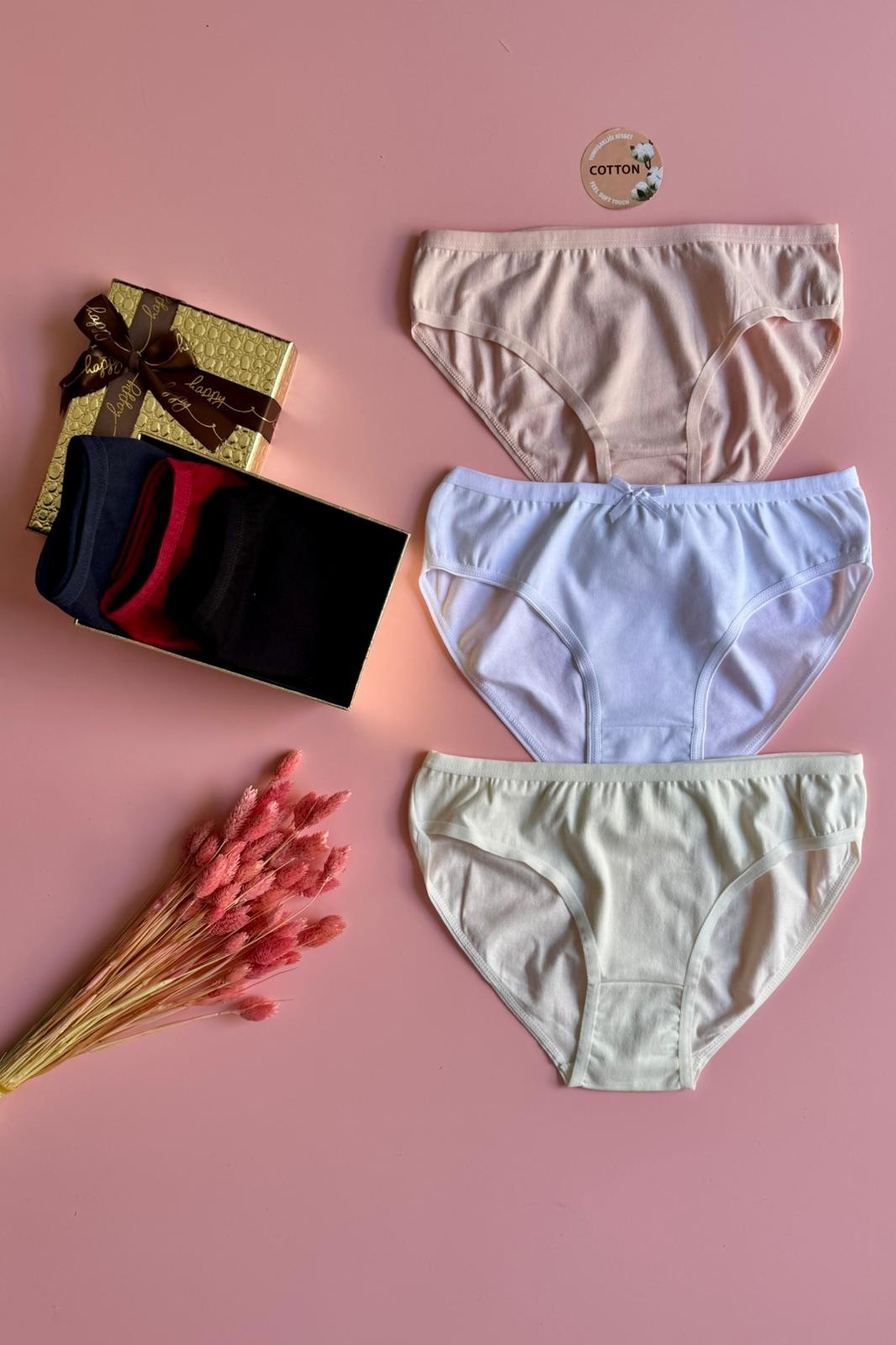 Yumuşacık Pamuklu Ekru ,Pembe ,Beyaz ,Siyah ,Lacivert ve Bordo 6'lı Külot Seti (Kutu Aksesuar Olarak Kullanılmıştır)