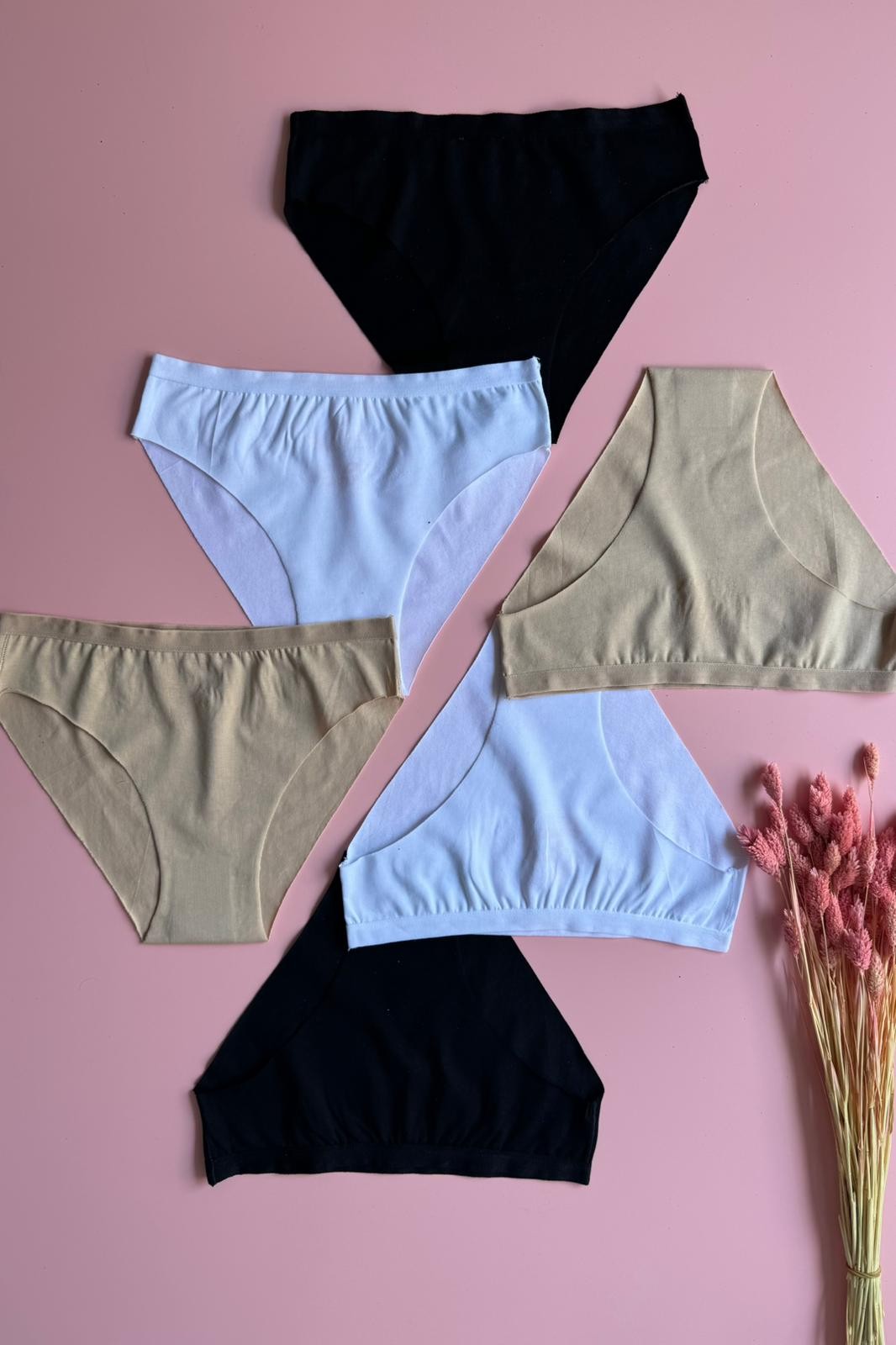 Air Hug | Lazer Kesim 6'lı Pamuklu Seamless Kadın Külot Feel Soft Touch 50E27