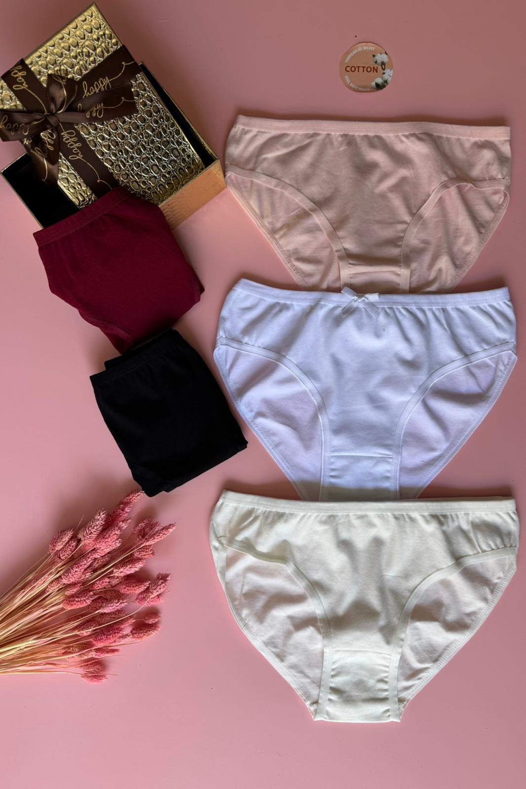Yumuşacık Pamuklu Ekru ,Pembe ,Beyaz ,Siyah ,Lacivert ve Bordo 6'lı Külot Seti (Kutu Aksesuar Olarak Kullanılmıştır)