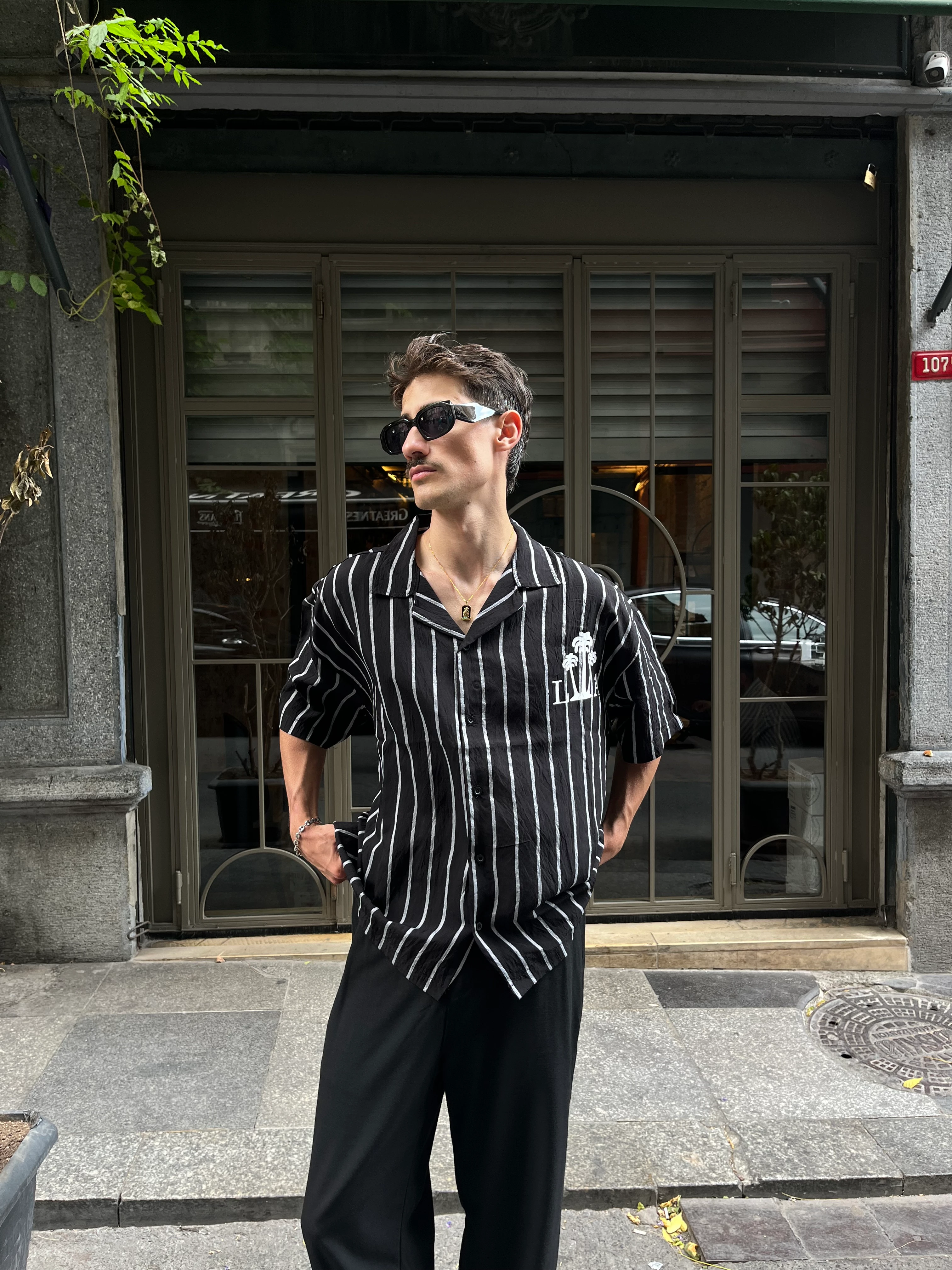 Çizgili Hawaii Desenli Kısa Kollu Gömlek