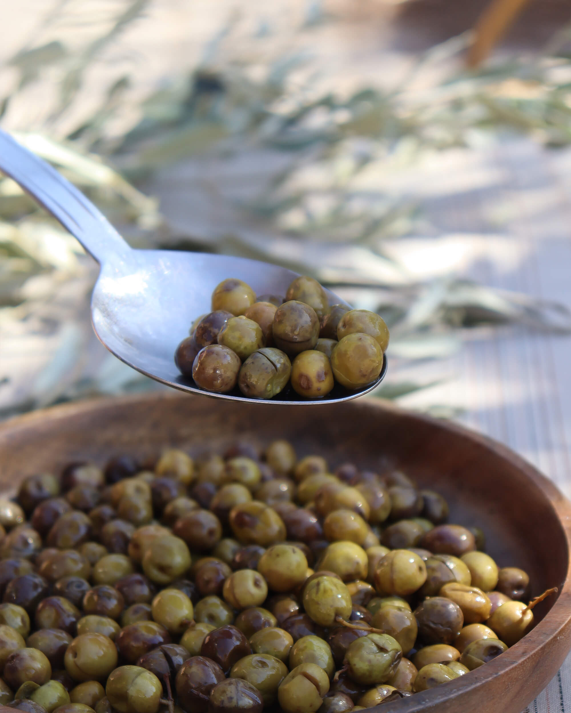 Hatay Halhali Çizik Zeytin (Yeni Sezon)