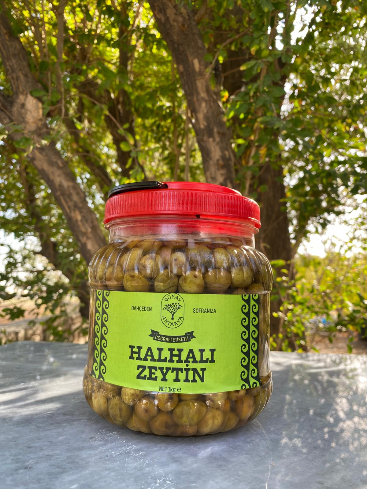 Hatay Halhali Çizik Zeytin (Yeni Sezon)
